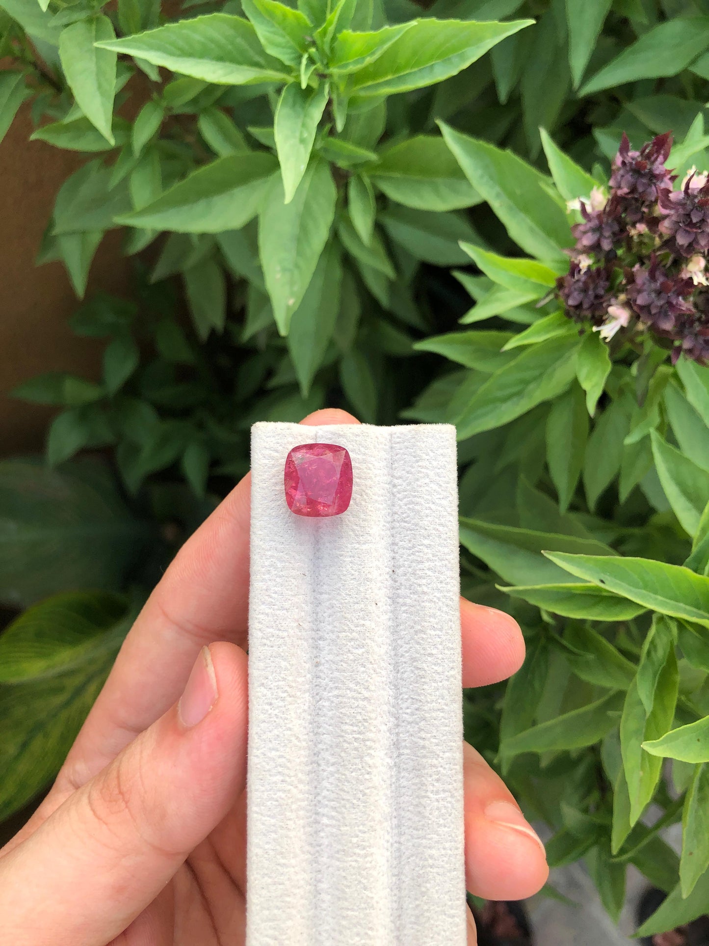 Natural Red Tourmaline Gemstone 8.80ct Faceted Afghan Crystal Untreated Loose Stone for Jewelry Healing