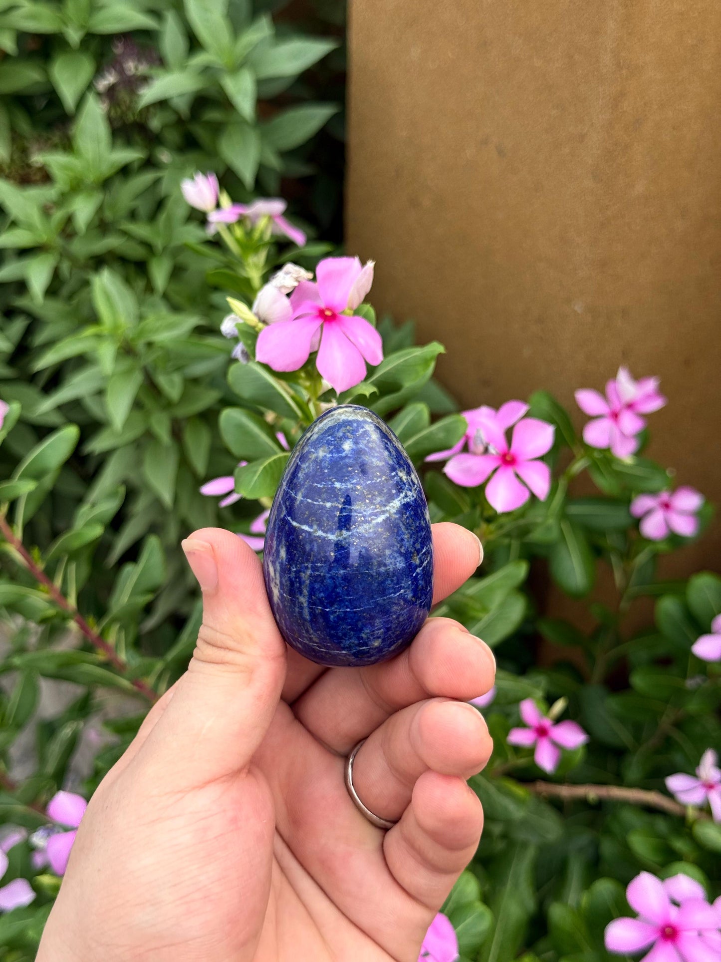 Natural Afghan Lapis Lazuli Palm Stone 86g 58.3 x 38 x 24.2 mm Origin Afghanistan