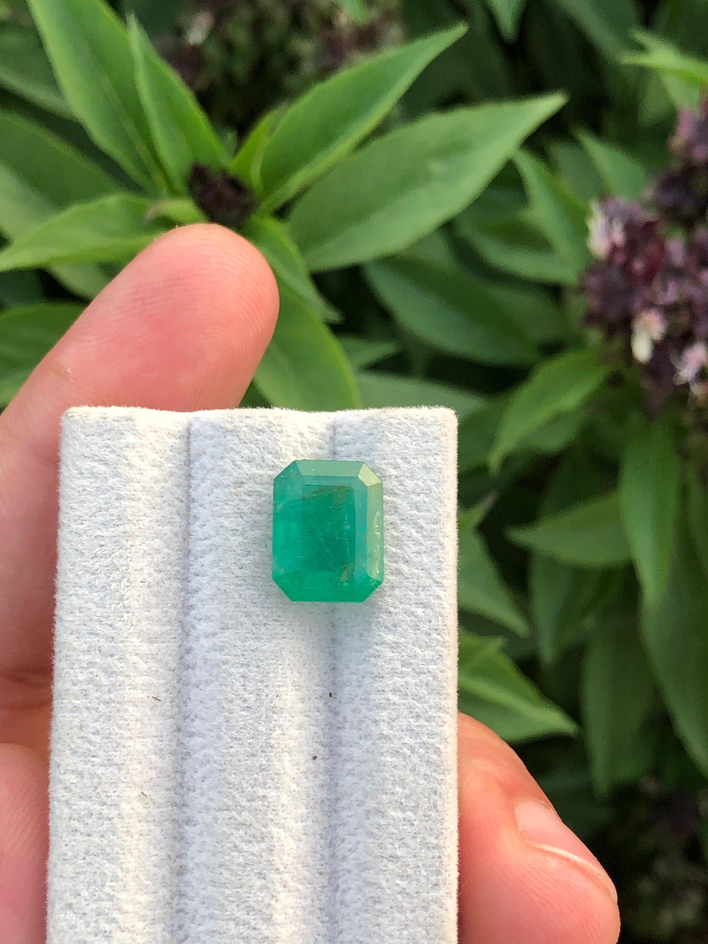 Natural Zambian Emerald 4.76ct Certified Green Octagon Gemstone Untreated Beryl for Custom Jewelry