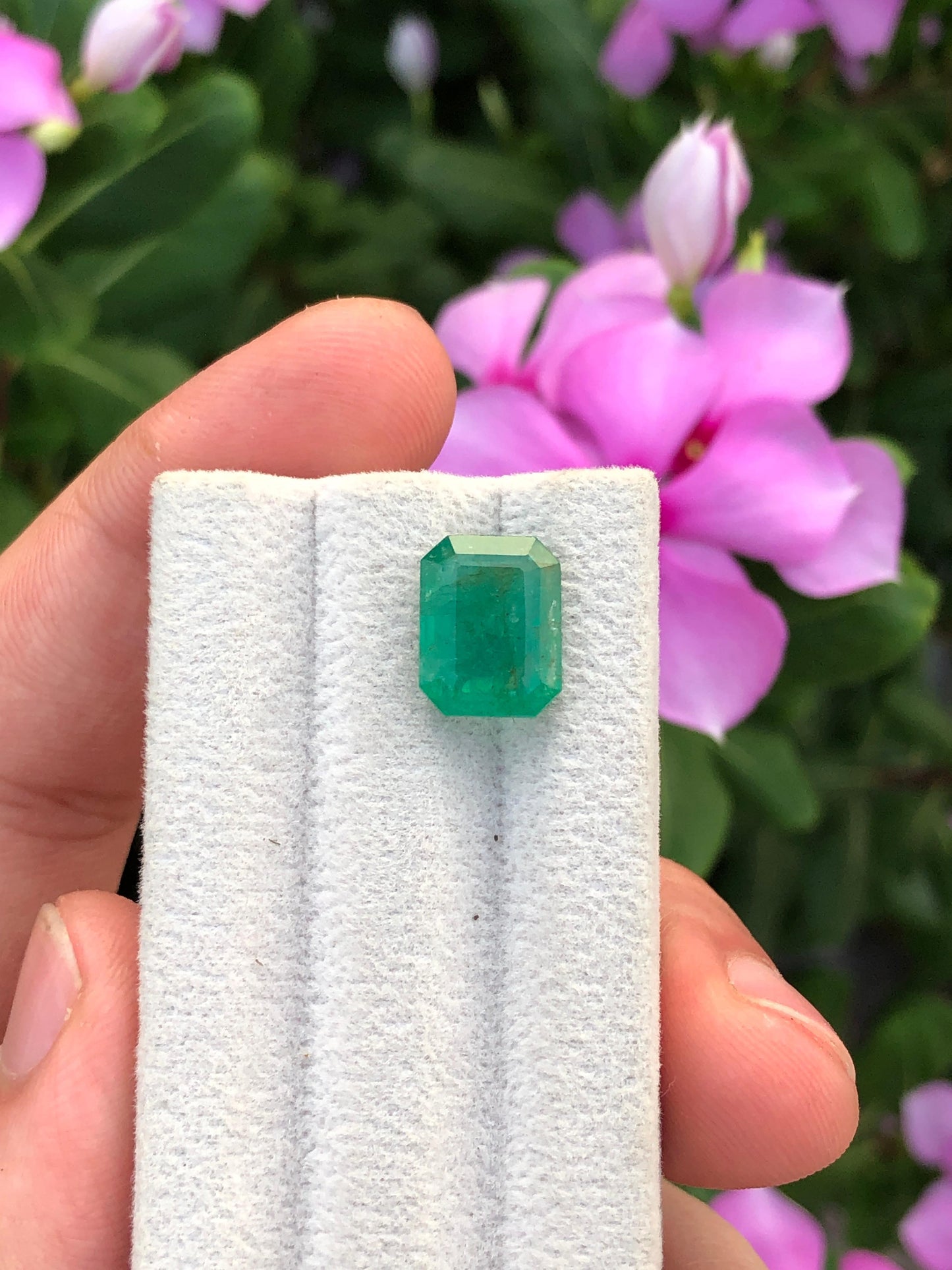Natural Zambian Emerald 4.76ct Certified Green Octagon Gemstone Untreated Beryl for Custom Jewelry