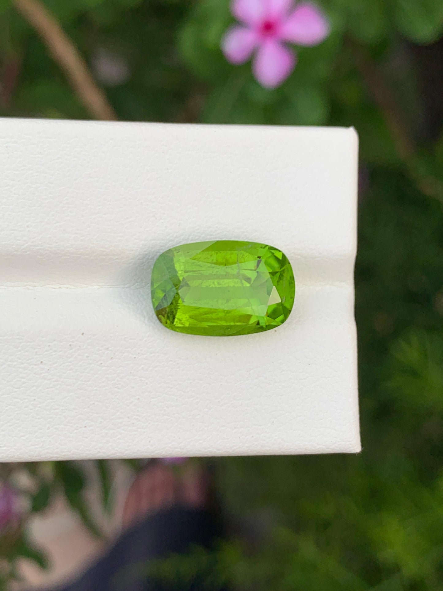 Natural Peridot 7.65 Ct Vivid Green Faceted Gemstone Loose Stone for Jewelry