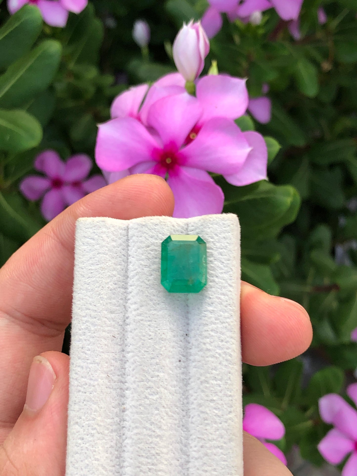 Natural Zambian Emerald 4.76ct Certified Green Octagon Gemstone Untreated Beryl for Custom Jewelry