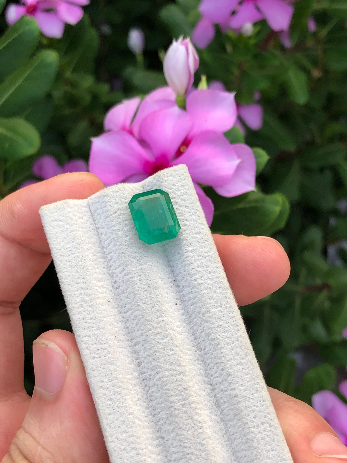 Natural Zambian Emerald 4.76ct Certified Green Octagon Gemstone Untreated Beryl for Custom Jewelry