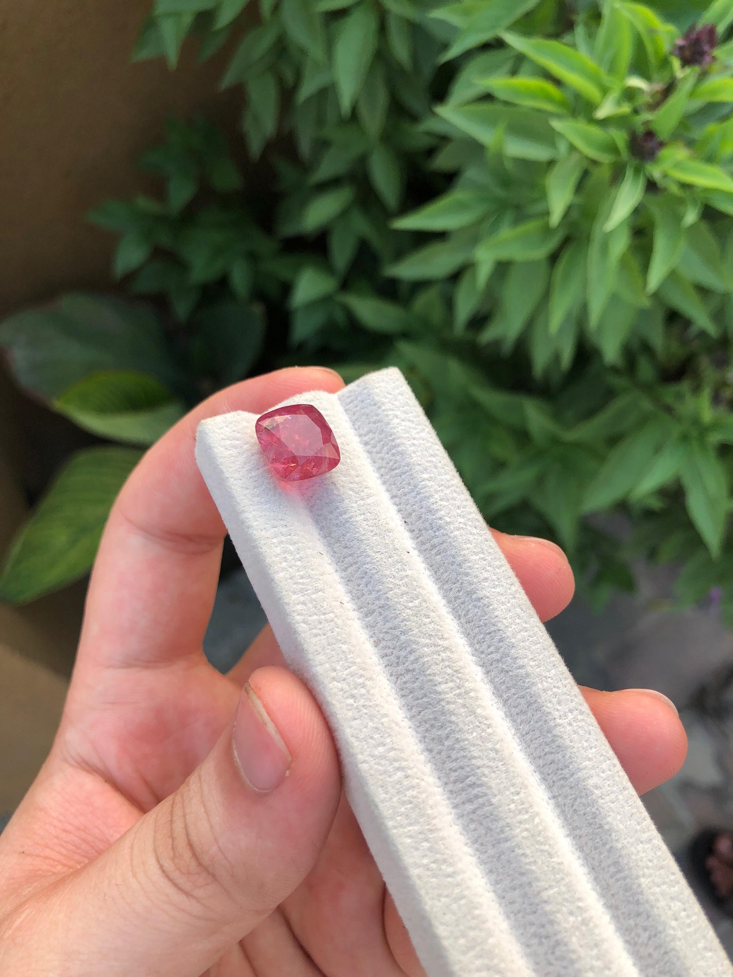 Natural Red Tourmaline Gemstone 8.80ct Faceted Afghan Crystal Untreated Loose Stone for Jewelry Healing