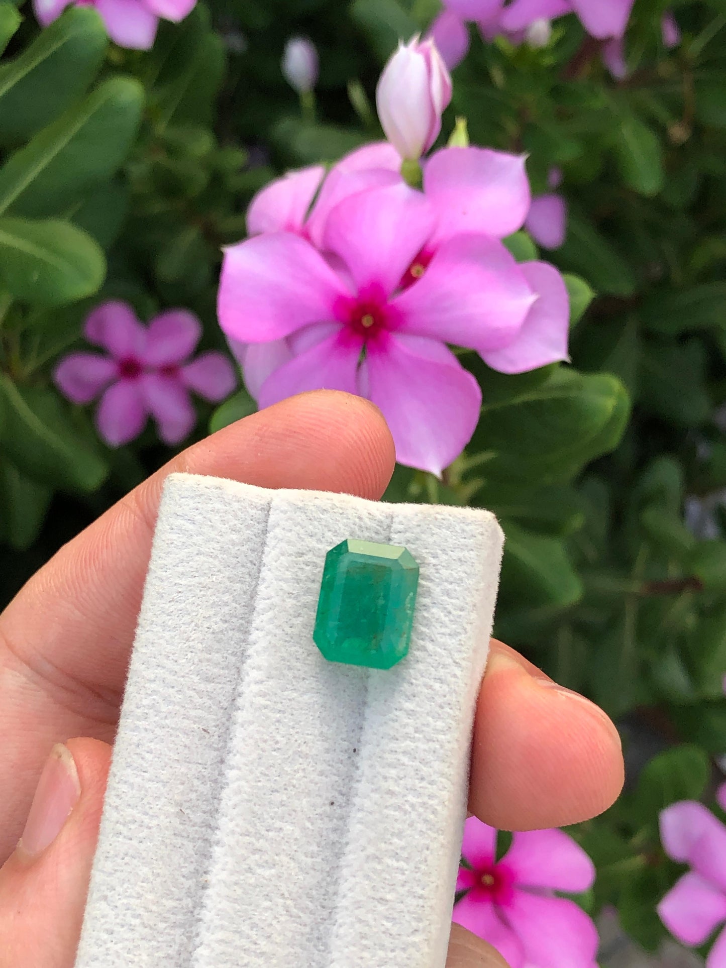 Natural Zambian Emerald 4.76ct Certified Green Octagon Gemstone Untreated Beryl for Custom Jewelry