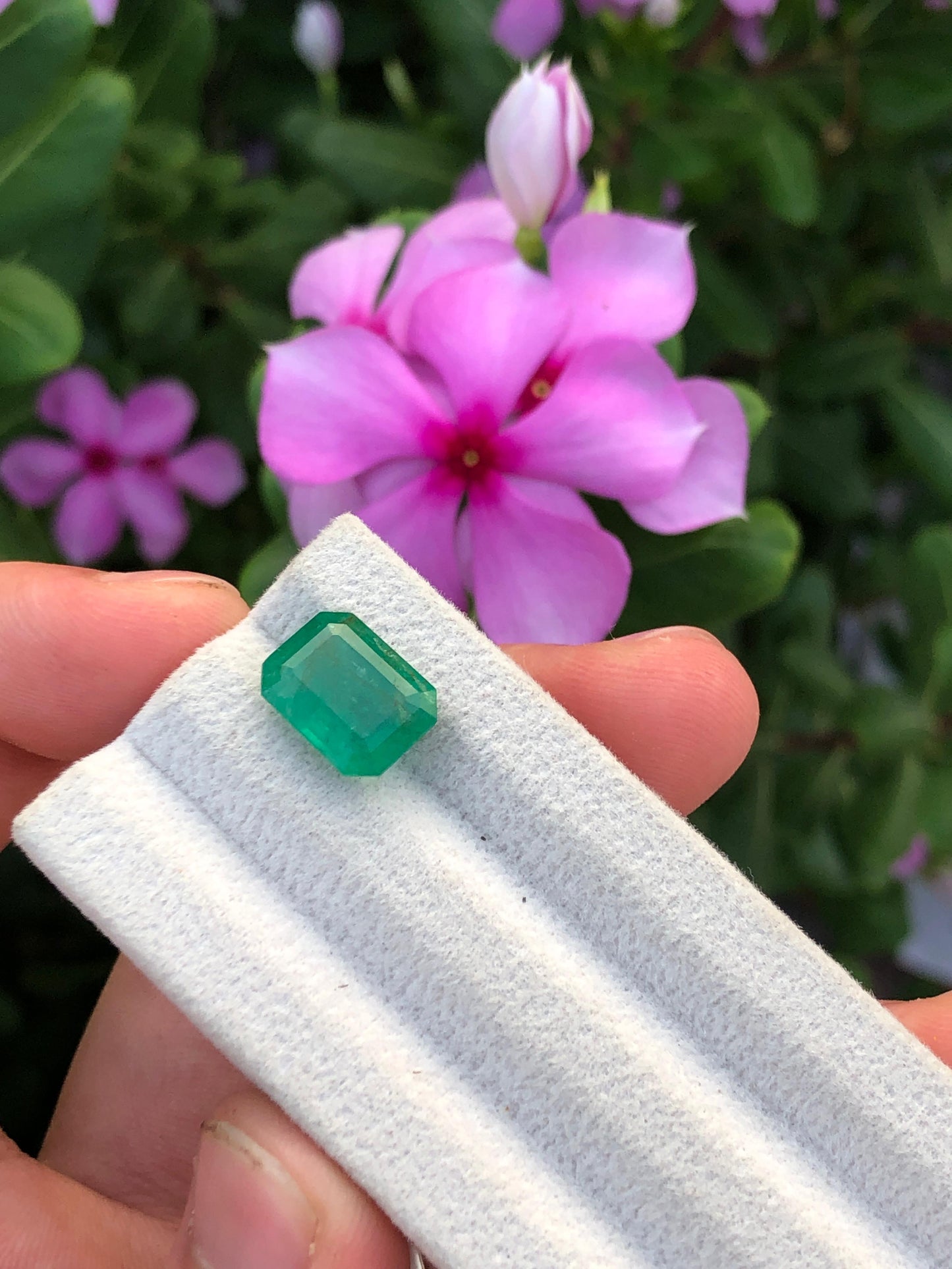 Natural Zambian Emerald 4.76ct Certified Green Octagon Gemstone Untreated Beryl for Custom Jewelry