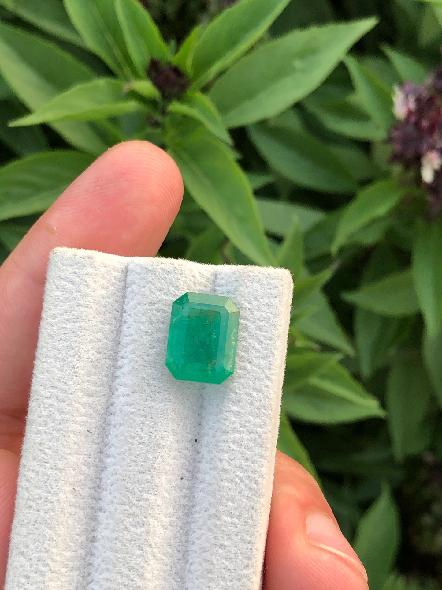 Natural Zambian Emerald 4.76ct Certified Green Octagon Gemstone Untreated Beryl for Custom Jewelry